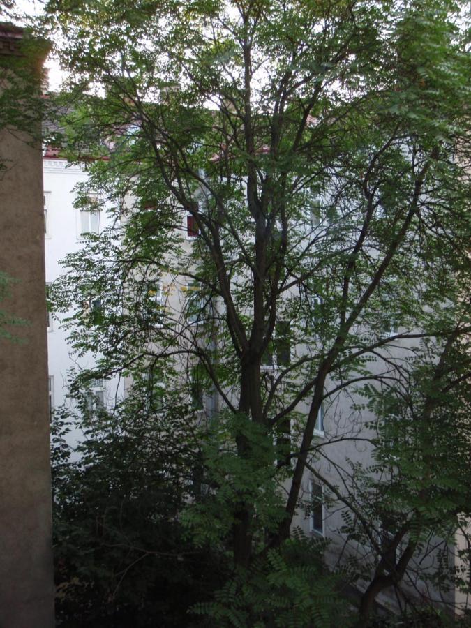 Augartenblick Penthaus 17 - Blick Zum Riesenrad ウィーン エクステリア 写真